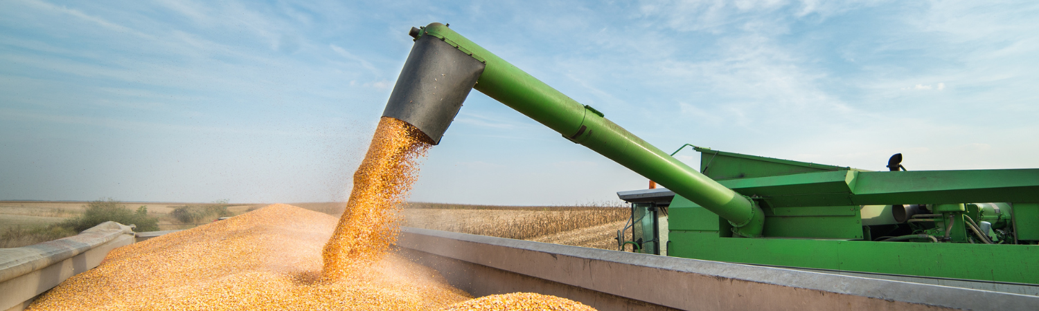 Harvest Season for Corn with Combine Arm