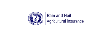 Rain and Hail Logo