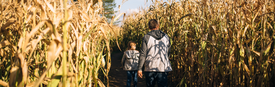 Father and Daughter Walking Through Corn Field