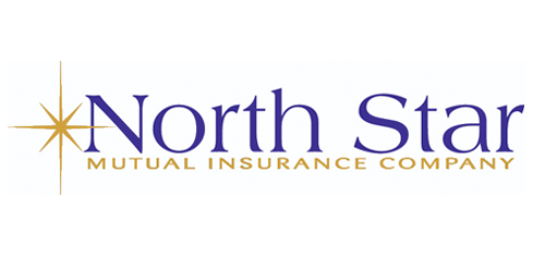 North Star Mutual Insurance Company Logo