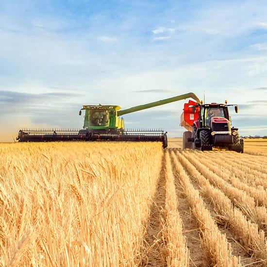 A tractor and combine harvesting wheat